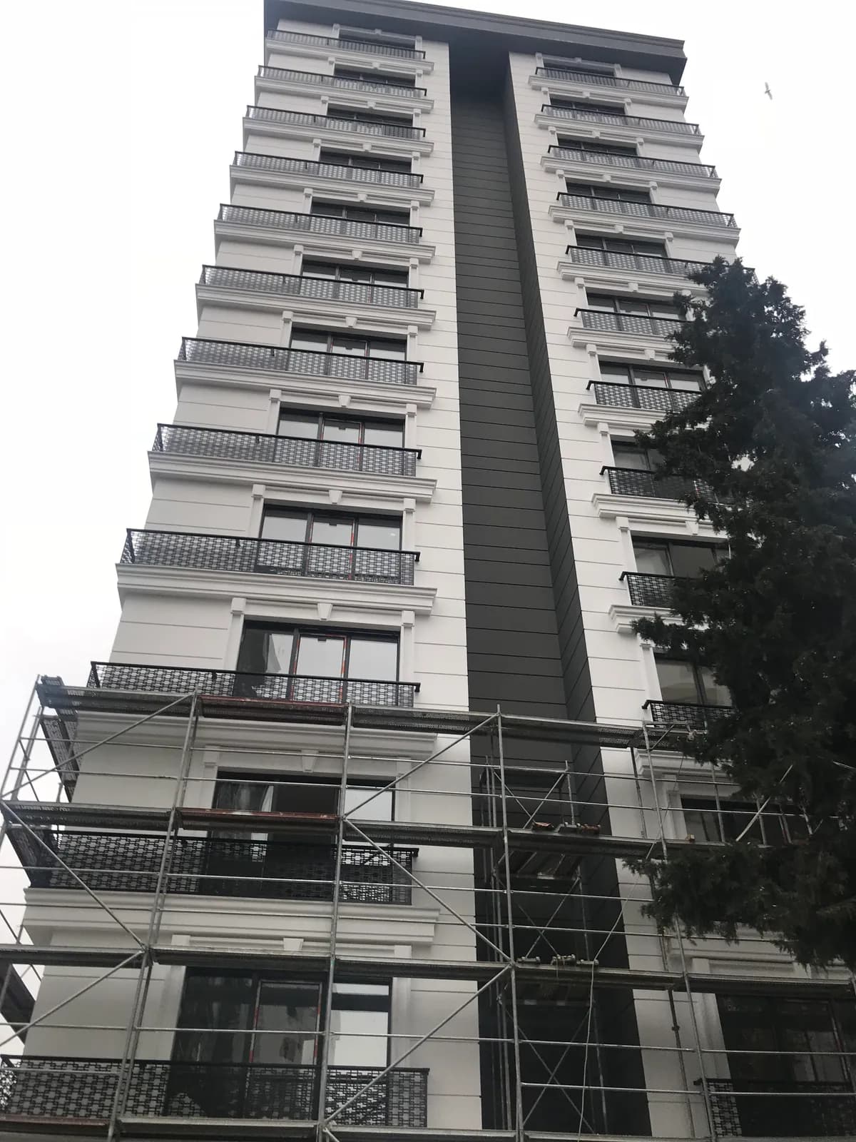 FORTE ERA Kapak Görseli